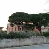 ...tra due alberi sopravvissuti che le fanno ombra